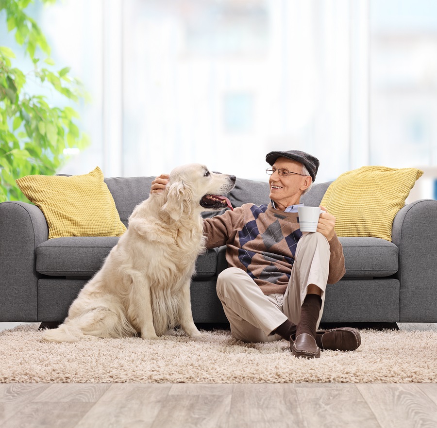 Animal Therapy Benefits for Hospice Care